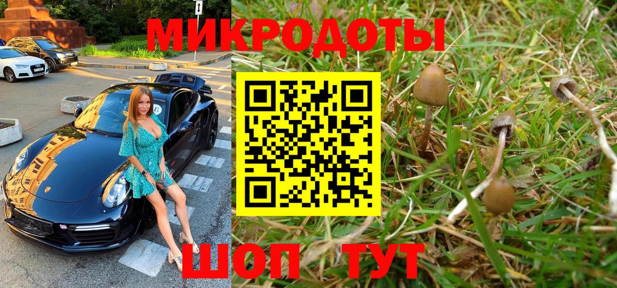 Галлюциногенные грибы Psilocybe Красный Сулин