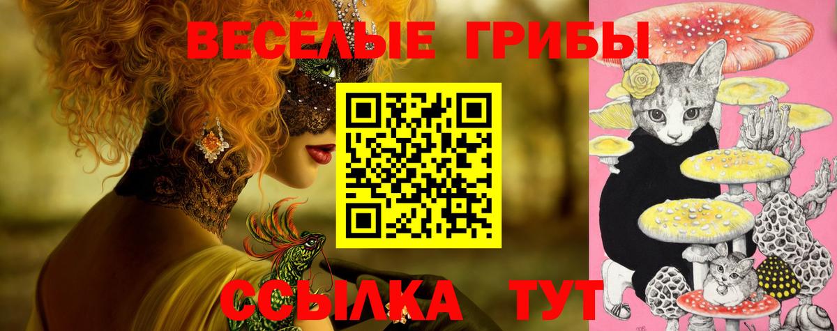 Красный Сулин  Галлюциногенные грибы Magic Shrooms  Вход с VPN 